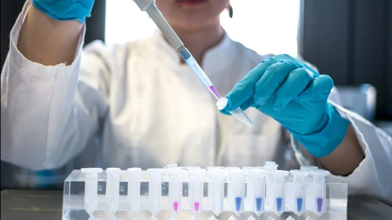 Aardvark жаңа III кезең клиникалық сынақтарының жобасын FDA-пен келісіп, 2027 жылы ARD-101 бойынша жұмысты қайта бастауды жоспарлап отыр / Фото: Unsplash / Julia Koblitz